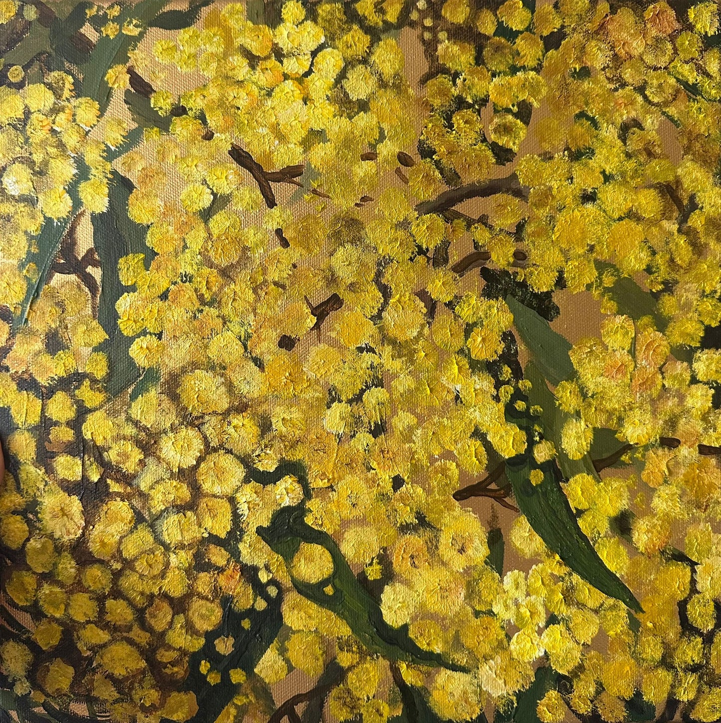 Le murmure du mimosa
Шепіт мімози