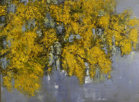 Mimosa enivrant