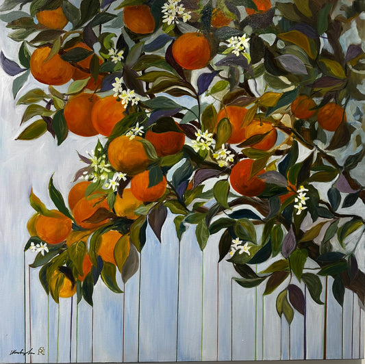 Pluie d’oranges