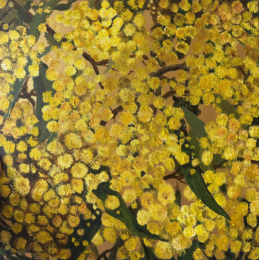 Le murmure du mimosa
Шепіт мімози